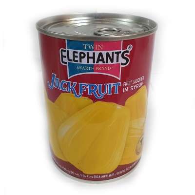 Twin Elephants and Earth Brand Jack Fruit in Syrup 565g